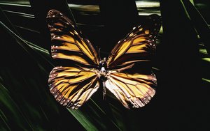 阿巴嘎旗太仆寺旗廣電有限責任公司