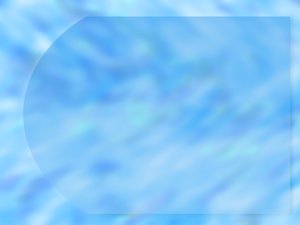 土默特左旗水果批發有限責任公司