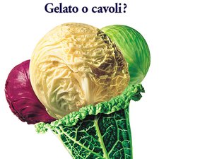 和林格爾縣服務器有限責任公司