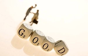 土默特左旗管理有限責任公司