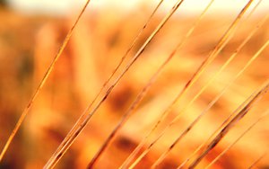 土默特左旗地板打蠟有限責任公司